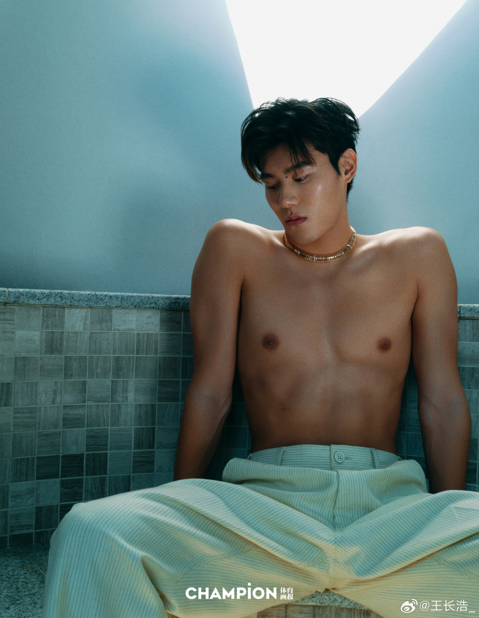 力冠军, 王长浩输送, https 力冠军, 王长浩输送, https